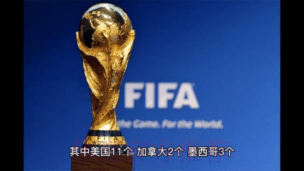 2026世界杯实时比分直播，全程掌握赛事动态